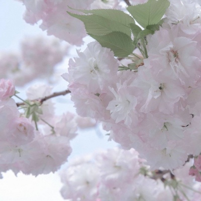 新郑FurryQQ群介绍